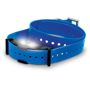 Dogtra Zusatzempfänger für ARC-X