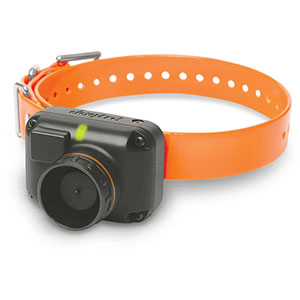 Empfänger für Dogtra 2600 T&B / 2602 T&B - Orange