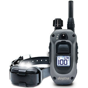 Dogtra Ferntrainer 640X